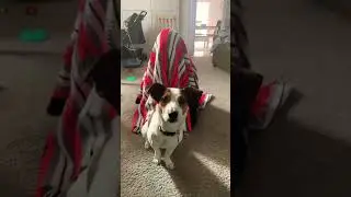 She&rsquo;s so brave!