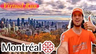 Virtual Run - Video for Treadmill - 🍁 Montreal Downtown to Mount Royal in October 🍂
