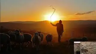 Sheep in His Care, Part 2