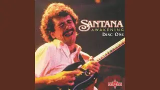 Latin Tropical - Live