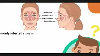 QAD for License exam of Nursing| Dream Doctor 🩺 Live Stream