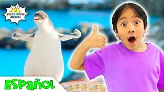 Aprenda sobre los pingüinos para niños con Ryan's World