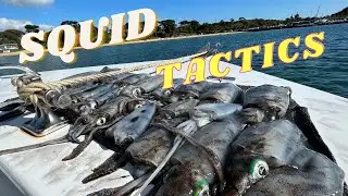 How to catch Squid from a boat. Top Tips and Tricks to Succeed. Port Phillip Bay fishing