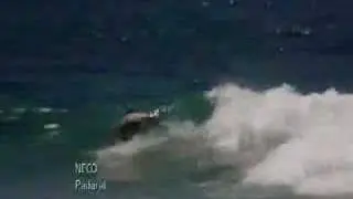 Primeiro Round do WCT 2008, na Gold Coast.