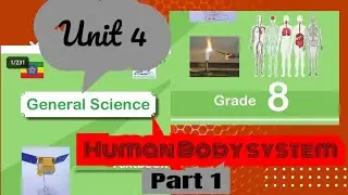 Grade _8_ General _science unit _4 Human body _system _and Health part 1_ lesson 