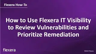 How to Use Flexera IT Visibility to Review Vulnerabilities and Prioritize Remediation