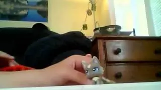 Littlest Pet Shop Music Video Tik Tok