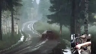 Dirt Rally 2.0 Карьера: Финляндия - Pitk&auml;j&auml;rvi 1/4