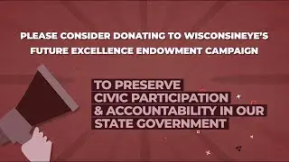 WisEye Endowment Campaign: 2023 Year End Giving