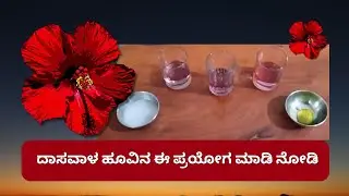 How to Do an Acid Base Test Using Hibiscus Flower  Easy Chemistry Experiment | ಆಮ್ಲ- ಕ್ಷಾರ ಪರೀಕ್ಷೆ