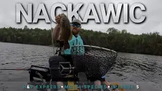 Big Axe, Bigger Fish 🎥  | 2025 Hook & Paddle Express Nackawic, NB | EP.05