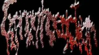 Gonorrhoeaction - The Torturer