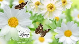 Morning Meditation Music➤ Coffee Music, Stress Relief, Reading Music, Spa Music, Meditation Music