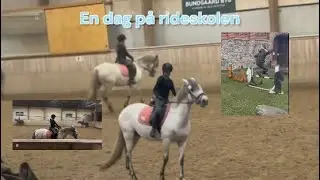 En dag på rideskolen👍🏻 #hest #unghest