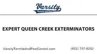 Expert Queen Creek Exterminators at Varsity Termite & Pest Control