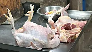Amazing Chicken Selling in Bangladesh Meat Market | Chicken Cutting Skills | BD Chicken