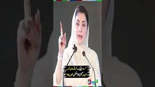 CM Maryam Nawaz Takes Big Action on Public Safety | #maryamnawaz #shorts