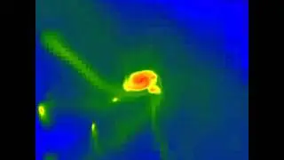galaxy formation simulation: selene