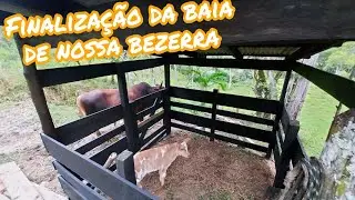 COMO FAZER BAÍA PARA BEZERRO COM BAIXO CUSTO / BAÍA PARA BEZERRINHO | Parte 02
