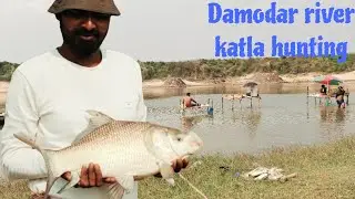 দামোদর নদীতে সুন্দরী কাতলার টান দেখুন ll big katla fish hunting ll best fishing video ll 2025✌