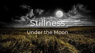 Moon in Stillness | A Quiet Night Space &middot; 1 Hour
