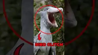 POV: The Forest is Glitching 🐦💻 #StrangeSounds #BirdTok #WeirdAnimals