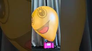 ASMR popping a yellow jumbo balloon filled with money#shorts