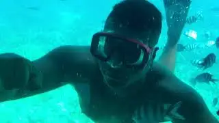 TRIP ON THE YELLOW SUBMARINE | EGYPT | HURGHADA | RED SEA