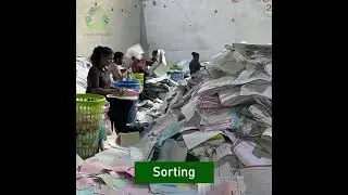 Sorting and Recycling: The Wastepaper Makeover 🔄