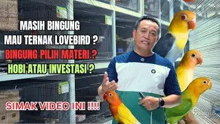 KENAPA MUTASI INI MURAH ?? BINGUNG PILIH MATERI ??