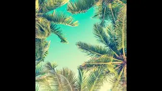 In summer Opus 2 🌞🌞#edm #house #housemusic #electronic #electronicmusic #foryou #music #musicvideo