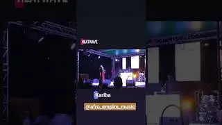 Rascaleb live @ HEATWAVE CONCERT in Kariba December 3rd 2022