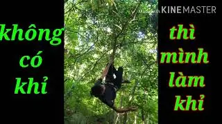 Thăm quan n&uacute;i minh đạm, long hải ✌