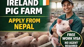 Ireland Working Visa for Nepali 2026|Pig farm |Real process | Self apply | Apply from Nepal