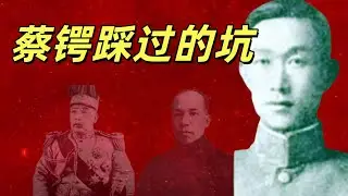 蔡锷传3，为何在二次革命中力挺袁世凯？又为何几年后成为反袁的最大旗帜？从滇军统帅到京城闲人，每一步选择，背后都是算计与误判。带你看懂：蔡锷不是突然反叛，一步步被逼到绝路。#袁世凯#盐碱地反贼#孙中山