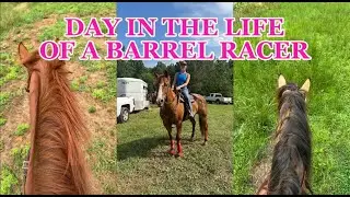 DAY IN MY LIFE: working on a rodeo shirt, riding horses, + a grocery haul