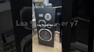 Loa pioneer Y7