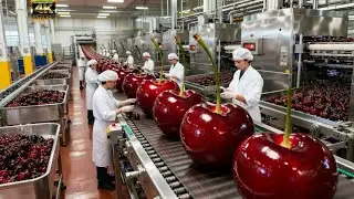 Inside the Production Line: The Complete Process of Making Dried Cherries (Full Process)