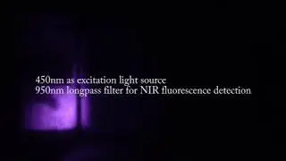 Near Infrared Invisible Security Ink Powder Detection With iPhone 4s NIR