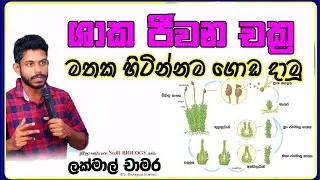 ශාක ජීවන චක්‍ර සුපිරියටම ගොඩ දාමූ😍 | Biology revision | Special meeting | #alresults #albiology