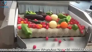 Testing Tomato, Eggplant & Pepper Rotary Brush Cleaning Machine | Aussie Client | VERFOODSOLUTIONS