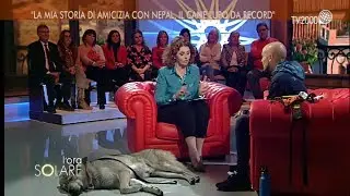“La mia storia di amicizia con Nepal, il cane lupo da record”