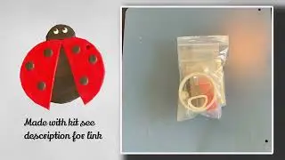 Polymer Clay Ladybug | Fox and Fern Kit Instructions