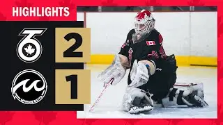HIGHLIGHTS | Toronto Six vs Minnesota Whitecaps (2-1) | PHF