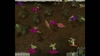 AM RTS - AFGM Easy (2:33)