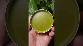 What Is Plantain Salve Used For?   #healing #salve #herbal
