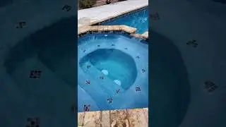 After result every visit. #pool #cleaning #poolparty #swimmingpool #design #luxurylifestyle