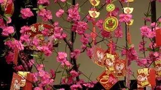 DFW PSCD Khai mac Dem Cho Hoa tai Asia Times Square HD 8min