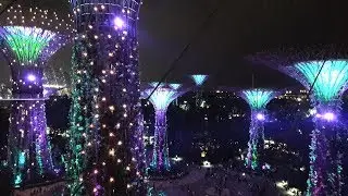 Gardens Rapsody in Singapore from OCBC Skyway. Walking on Supertrees at Gardens by the Bay