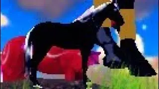 Hill Cliff Horse -Style Ideas-